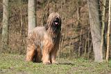 BRIARD 064